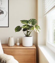 Lade das Bild in den Galerie-Viewer, White
