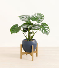 Lade das Bild in den Galerie-Viewer, Deep Navy stand:light
