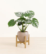 Lade das Bild in den Galerie-Viewer, Desert Brown stand:light
