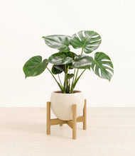 Lade das Bild in den Galerie-Viewer, Shiny EggWhite stand:light

