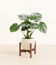 Lade das Bild in den Galerie-Viewer, Shiny EggWhite stand:dark
