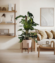 Lade das Bild in den Galerie-Viewer, Sandy Pink stand:walnut
