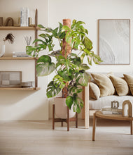 Charger l'image dans la galerie, Sandy Pink stand:dark
