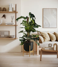 Lade das Bild in den Galerie-Viewer, Stone Black stand:bamboo
