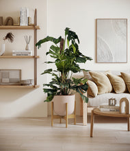 Lade das Bild in den Galerie-Viewer, Sandy Pink stand:bamboo
