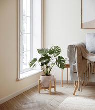 Lade das Bild in den Galerie-Viewer, Desert Brown stand:light
