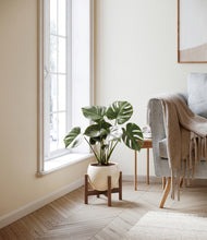 Lade das Bild in den Galerie-Viewer, Shiny EggWhite stand:dark
