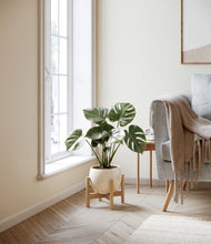 Lade das Bild in den Galerie-Viewer, Shiny EggWhite stand:light
