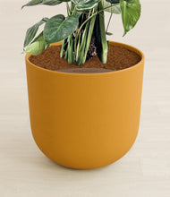 Lade das Bild in den Galerie-Viewer, Sunset Orange stand:all
