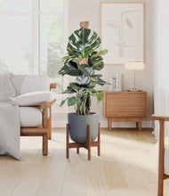 Lade das Bild in den Galerie-Viewer, Sage Green stand:walnut
