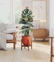 Lade das Bild in den Galerie-Viewer, Earth Red stand:walnut
