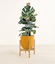 Lade das Bild in den Galerie-Viewer, Sunset Orange stand:bamboo

