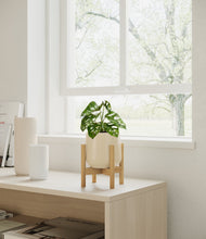 Lade das Bild in den Galerie-Viewer, Almond Green stand:bamboo
