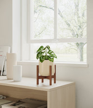 Lade das Bild in den Galerie-Viewer, Almond Green stand:walnut
