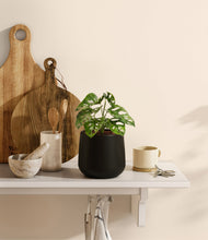 Lade das Bild in den Galerie-Viewer, Black

