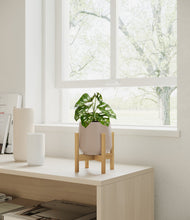 Lade das Bild in den Galerie-Viewer, Eternal Gray stand:bamboo

