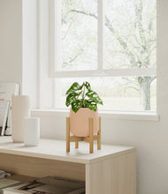 Lade das Bild in den Galerie-Viewer, Gentle Pink stand:bamboo
