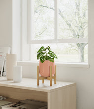 Lade das Bild in den Galerie-Viewer, Calm Rose stand:bamboo
