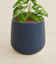 Lade das Bild in den Galerie-Viewer, Deep Navy stand:all

