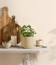 Lade das Bild in den Galerie-Viewer, Almond Green
