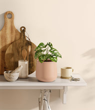Lade das Bild in den Galerie-Viewer, Gentle Pink
