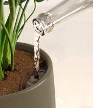 Lade das Bild in den Galerie-Viewer, Olive stand:all
