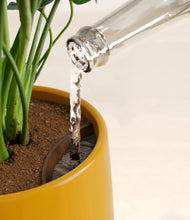 Lade das Bild in den Galerie-Viewer, Mustard stand:all
