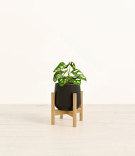 Lade das Bild in den Galerie-Viewer, Black stand:bamboo
