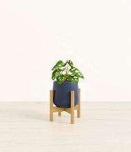 Lade das Bild in den Galerie-Viewer, Deep Navy stand:bamboo
