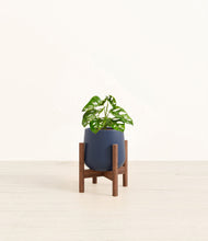 Lade das Bild in den Galerie-Viewer, Deep Navy stand:walnut

