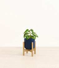 Load image into Gallery viewer, Twilight Blue stand:bamboo

