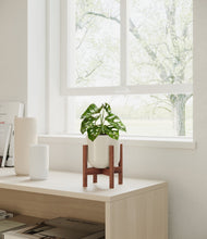 Load image into Gallery viewer, Cotton White stand:all

