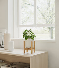 Load image into Gallery viewer, Cotton White stand:walnut
