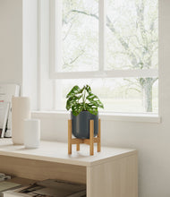 Load image into Gallery viewer, Iron Gray stand:all
