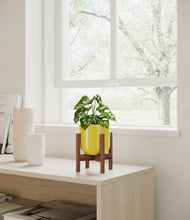 Load image into Gallery viewer, Key Lime Yellow stand:walnut
