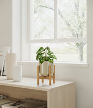 Load image into Gallery viewer, Sage Green stand:all
