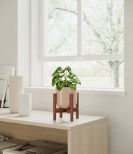 Load image into Gallery viewer, Sandy Pink stand:walnut
