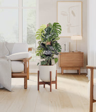 Lade das Bild in den Galerie-Viewer, Natural Bamboo stand:dark
