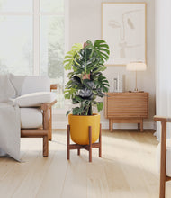 Lade das Bild in den Galerie-Viewer, Sunset Orange stand:dark
