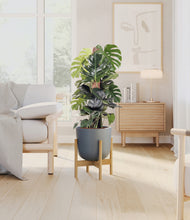 Lade das Bild in den Galerie-Viewer, Sage Green stand:light
