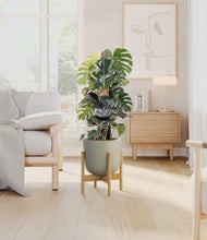 Lade das Bild in den Galerie-Viewer, Sage Green stand:light
