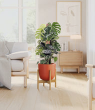 Lade das Bild in den Galerie-Viewer, Earth Red stand:light
