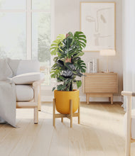 Lade das Bild in den Galerie-Viewer, Sunset Orange stand:light
