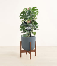 Lade das Bild in den Galerie-Viewer, Iron Gray stand:dark
