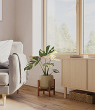 Load image into Gallery viewer, Olive stand:walnut
