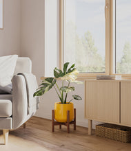 Load image into Gallery viewer, Mustard stand:walnut

