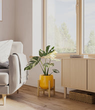 Load image into Gallery viewer, Mustard stand:bamboo
