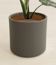Load image into Gallery viewer, Dark Olive stand:all

