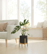Load image into Gallery viewer, Black stand:bamboo
