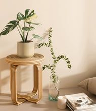 Load image into Gallery viewer, Almond Green
